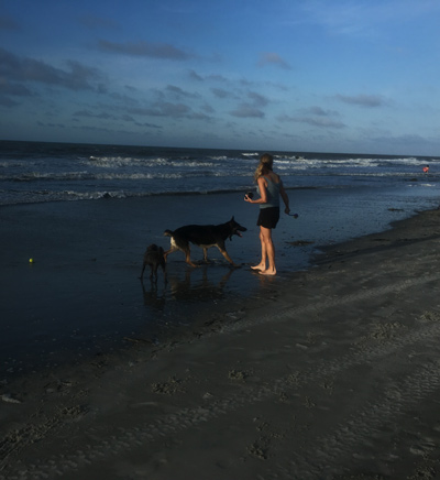 At Folly \beach with dog near Chastains Cottages
